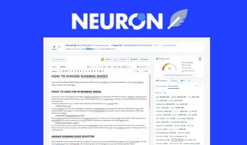 NeuronWriter lifetime deal