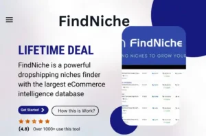 FindNiche lifetime deal