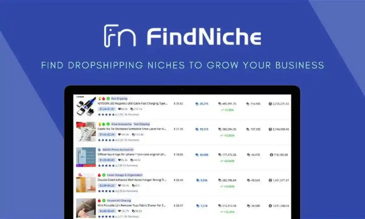 FindNiche lifetime deal