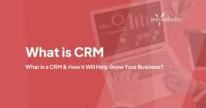 How Do Crm Software Work?