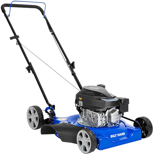 Best Gas Lawn Mower for Small Yard