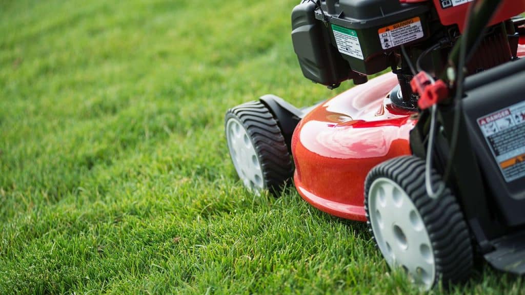 Can You Cut Wet Grass With a Lawn Mower: Expert Tips and Advice