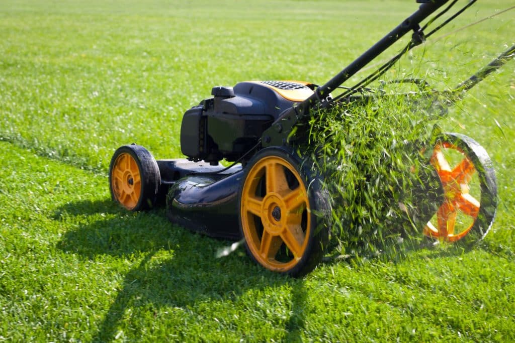 How Much is a Lawn Mower