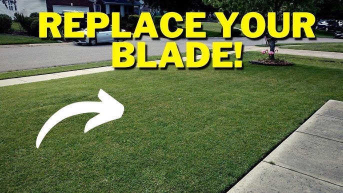 How Often Should You Replace Lawn Mower Blades