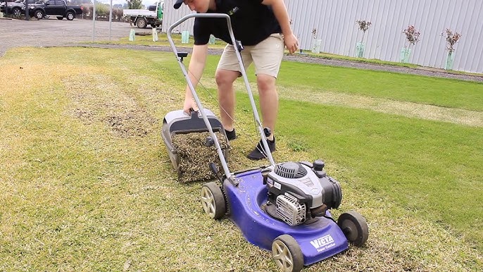 How to Dethatch Lawn With Mower: Easy DIY Guide - Best Software Review