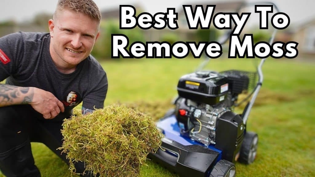 How to Get Rid of Lawn Mower