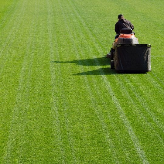 What is a Good Lawn Mower: Top Picks for a Perfect Lawn
