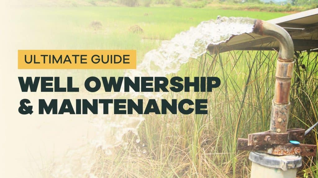 What is a Lawn Mower: Essential Guide for Homeowners