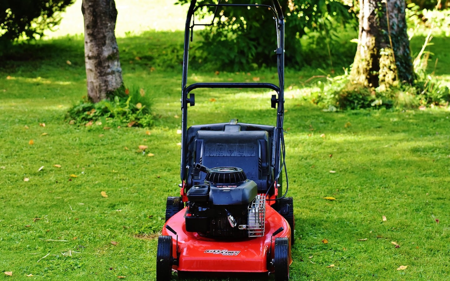 What Kind of Oil Does a Push Lawn Mower Take: Essential Guide