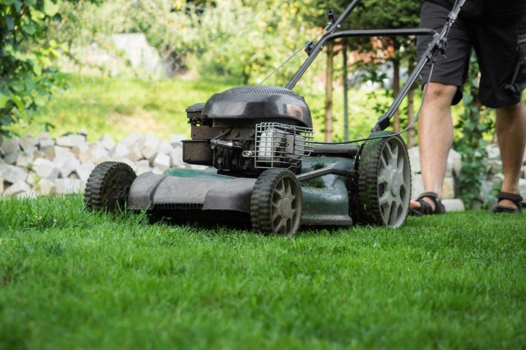 What Type of Gas Does a Lawn Mower Take: Essential Tips & Guide