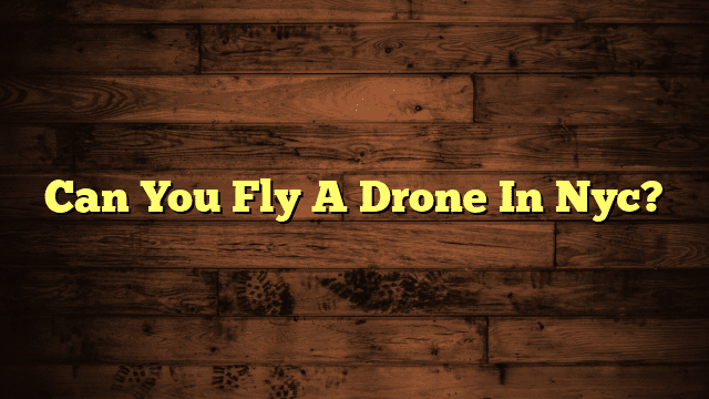 Can You Fly A Drone In Nyc?