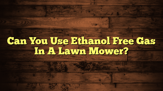 Can You Use Ethanol Free Gas In A Lawn Mower?