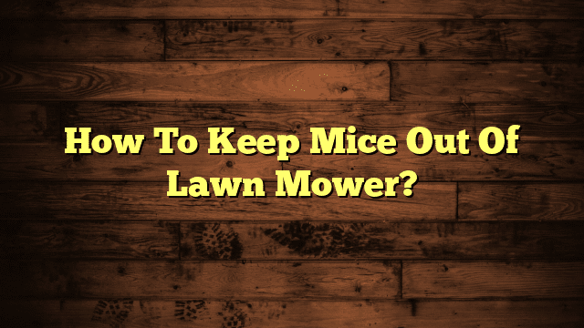 How To Keep Mice Out Of Lawn Mower?
