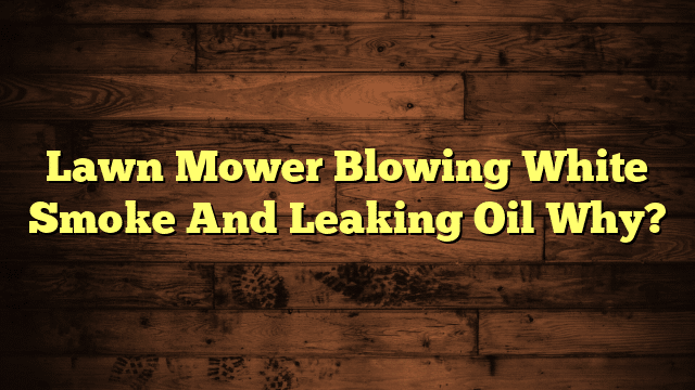 Lawn Mower Blowing White Smoke And Leaking Oil Why?