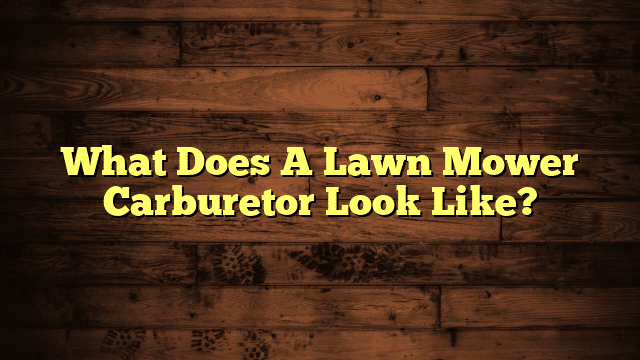 What Does A Lawn Mower Carburetor Look Like?