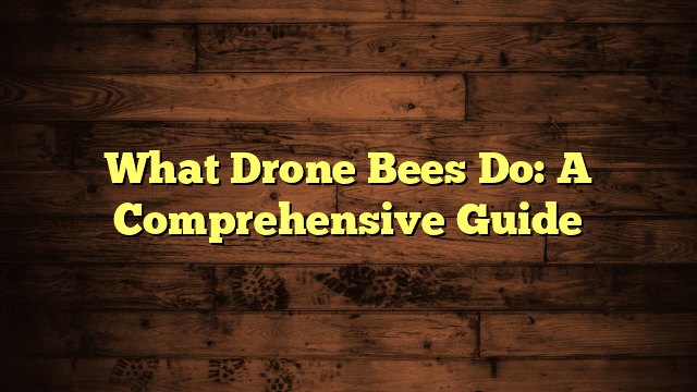 What Drone Bees Do: A Comprehensive Guide
