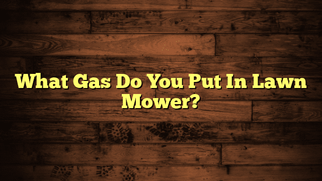 What Gas Do You Put In Lawn Mower?