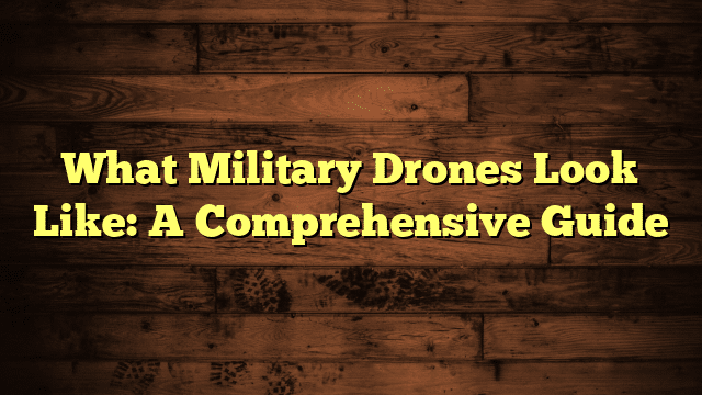 What Military Drones Look Like: A Comprehensive Guide