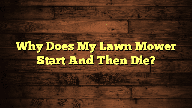 Why Does My Lawn Mower Start And Then Die?