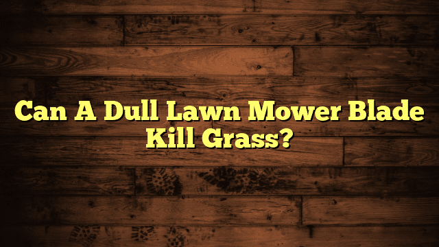 Can A Dull Lawn Mower Blade Kill Grass?