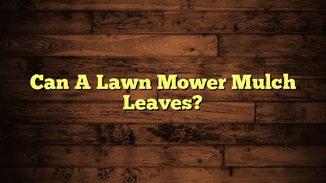 Can A Lawn Mower Mulch Leaves?