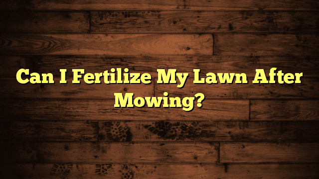 Can I Fertilize My Lawn After Mowing?