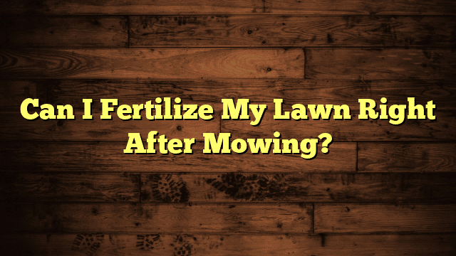 Can I Fertilize My Lawn Right After Mowing?