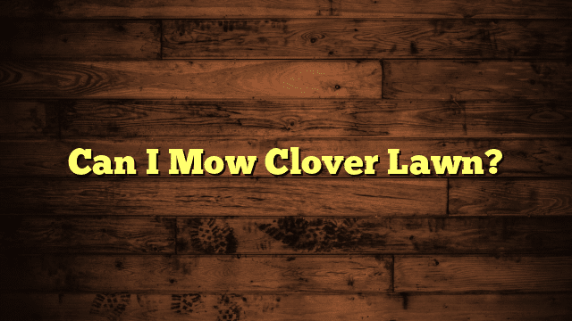 Can I Mow Clover Lawn?