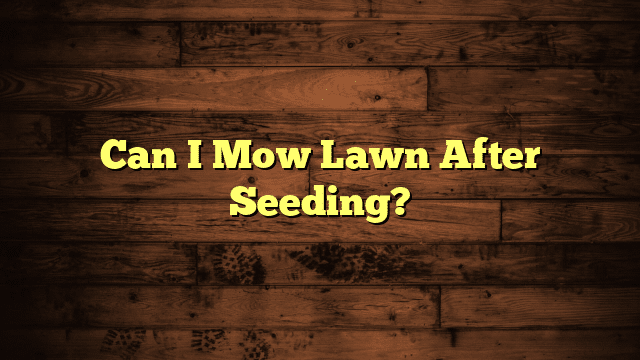 Can I Mow Lawn After Seeding?