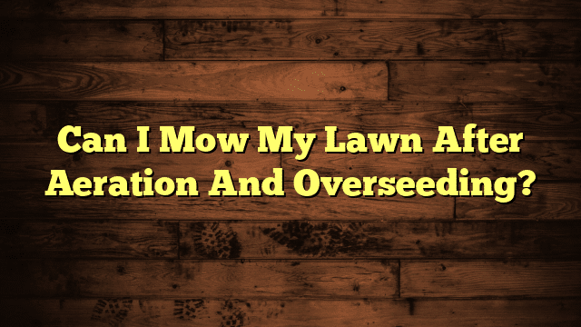 Can I Mow My Lawn After Aeration And Overseeding?