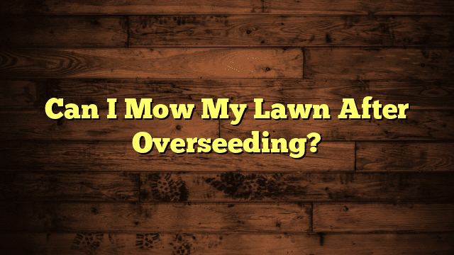 Can I Mow My Lawn After Overseeding?