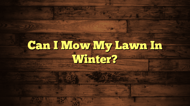 Can I Mow My Lawn In Winter?