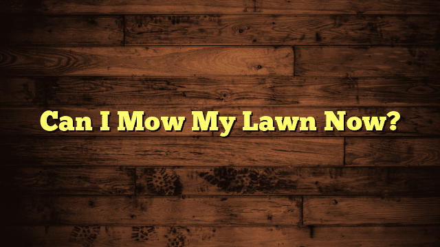 Can I Mow My Lawn Now?