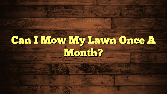 Can I Mow My Lawn Once A Month?