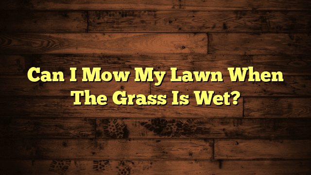 Can I Mow My Lawn When The Grass Is Wet?