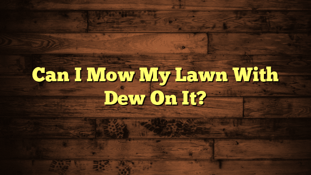 Can I Mow My Lawn With Dew On It?