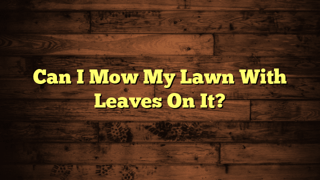 Can I Mow My Lawn With Leaves On It?