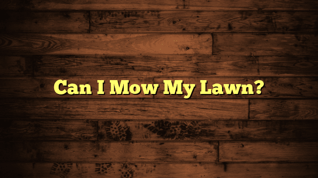 Can I Mow My Lawn?