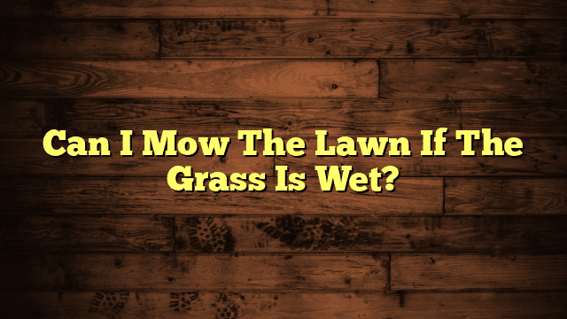 Can I Mow The Lawn If The Grass Is Wet?