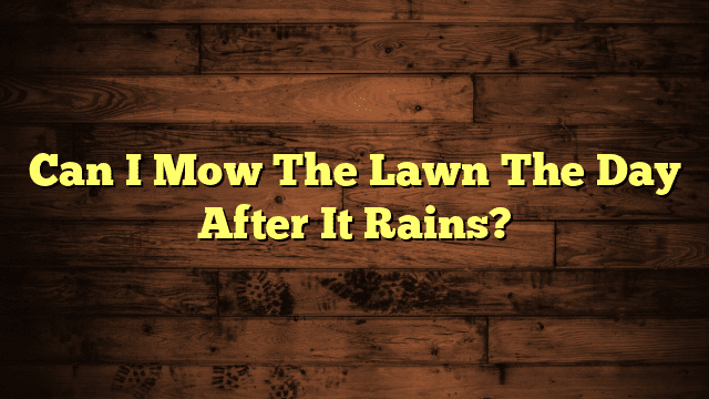 Can I Mow The Lawn The Day After It Rains?