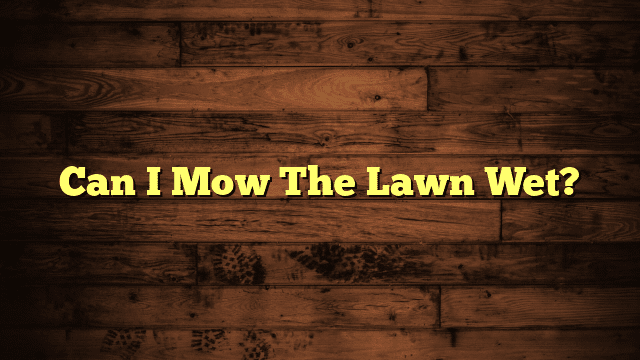 Can I Mow The Lawn Wet?