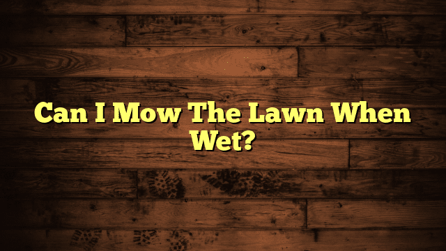 Can I Mow The Lawn When Wet?