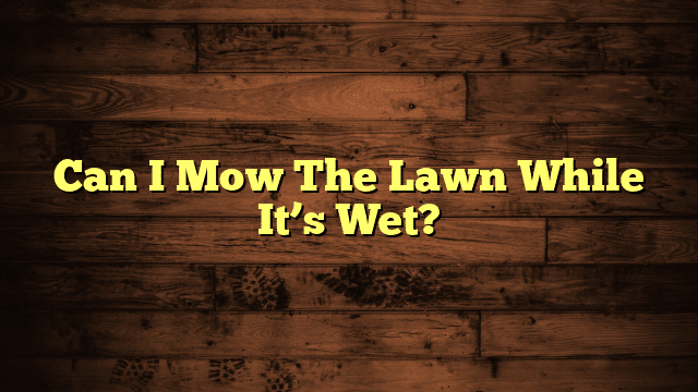 Can I Mow The Lawn While It’s Wet?