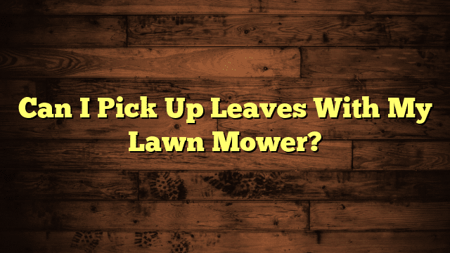 Can I Pick Up Leaves With My Lawn Mower?