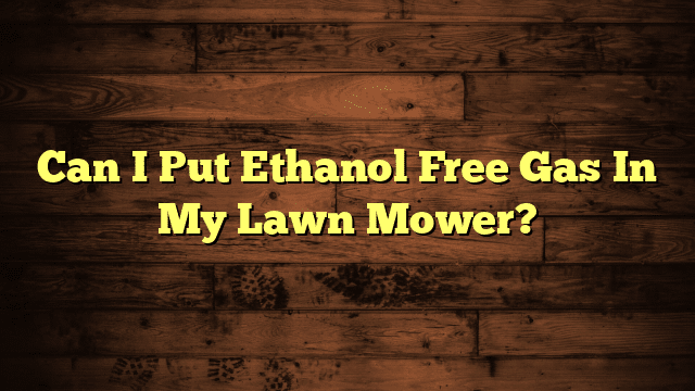 Can I Put Ethanol Free Gas In My Lawn Mower?