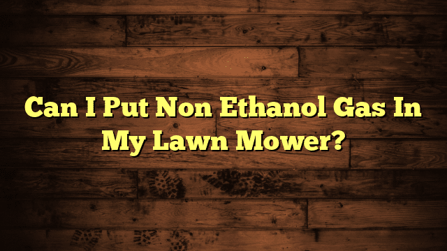 Can I Put Non Ethanol Gas In My Lawn Mower?