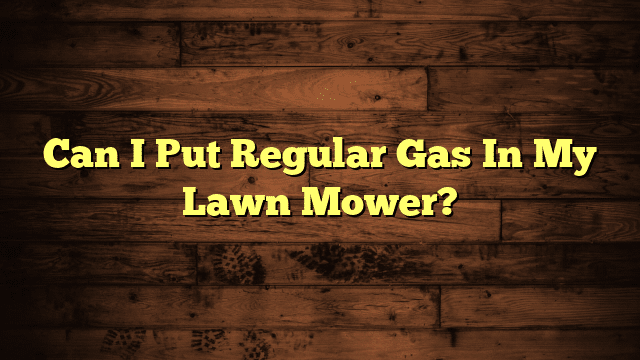Can I Put Regular Gas In My Lawn Mower?