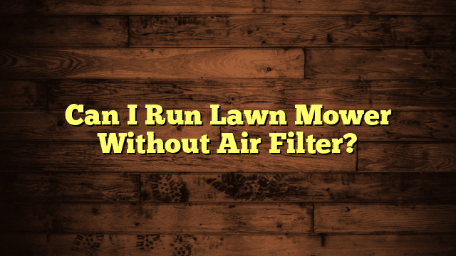 Can I Run Lawn Mower Without Air Filter?
