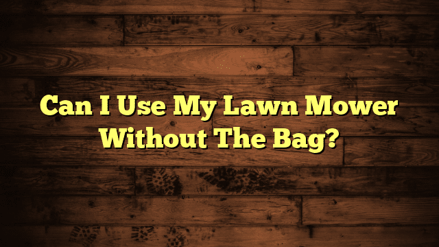 Can I Use My Lawn Mower Without The Bag?