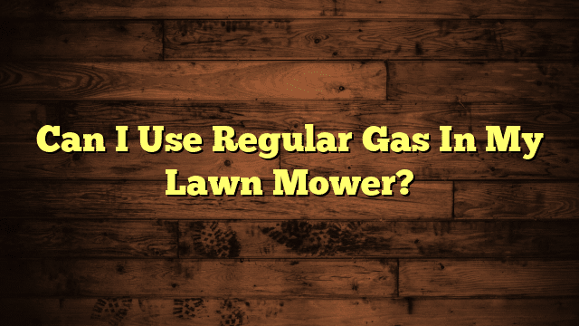 Can I Use Regular Gas In My Lawn Mower?